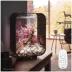 biOrb LIFE 15 Aquarium with Multi Color LED - 4 Gallon image thumbnail 2