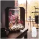 Product biOrb LIFE 15 Aquarium with Multi Color LED - 4 Gallon