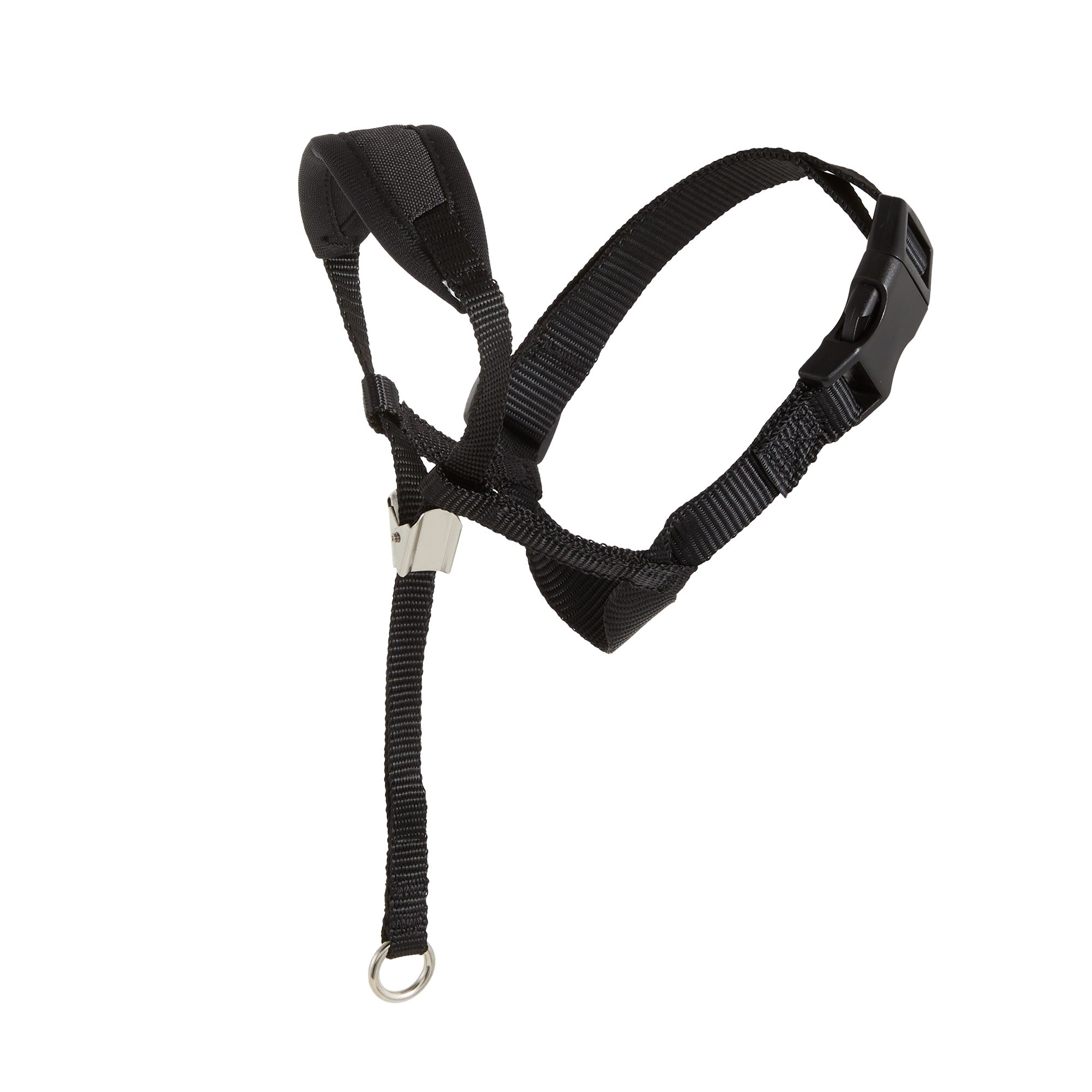 Gentle leader harness petsmart hotsell