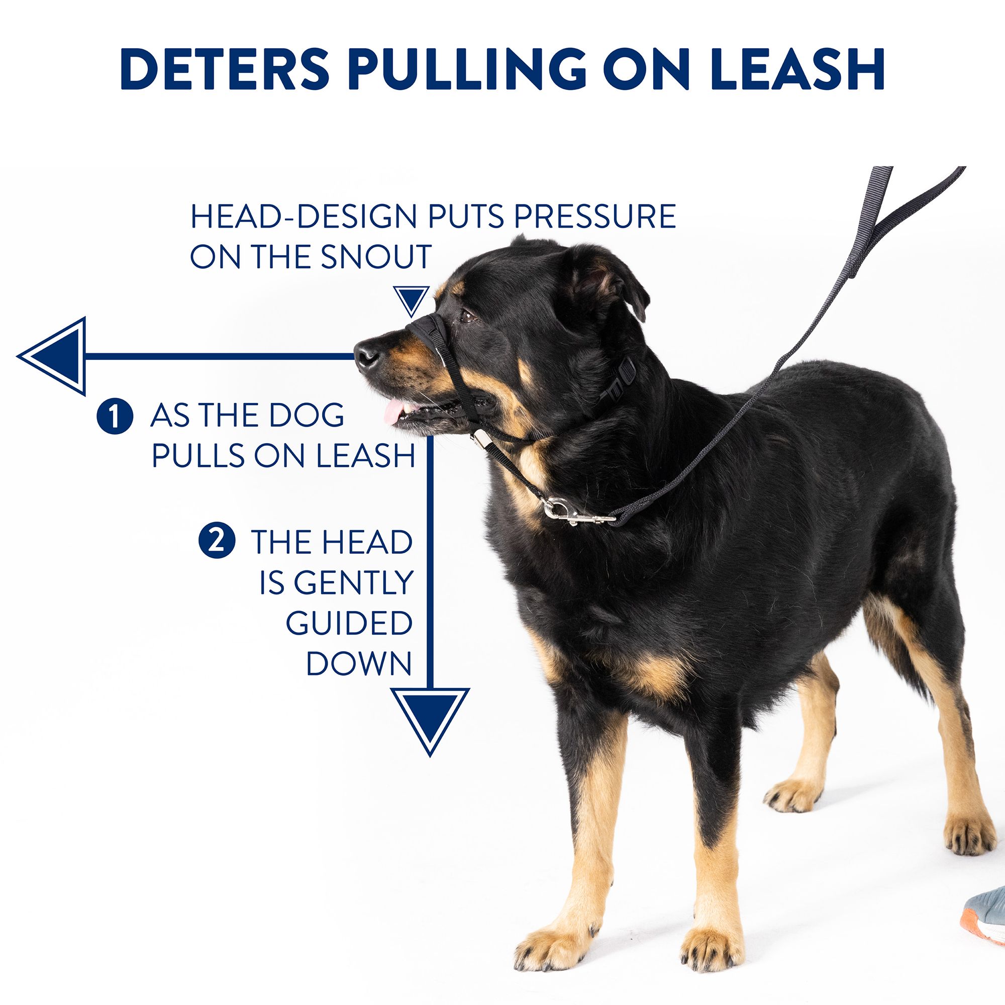 Top Paw Head Dog Collar