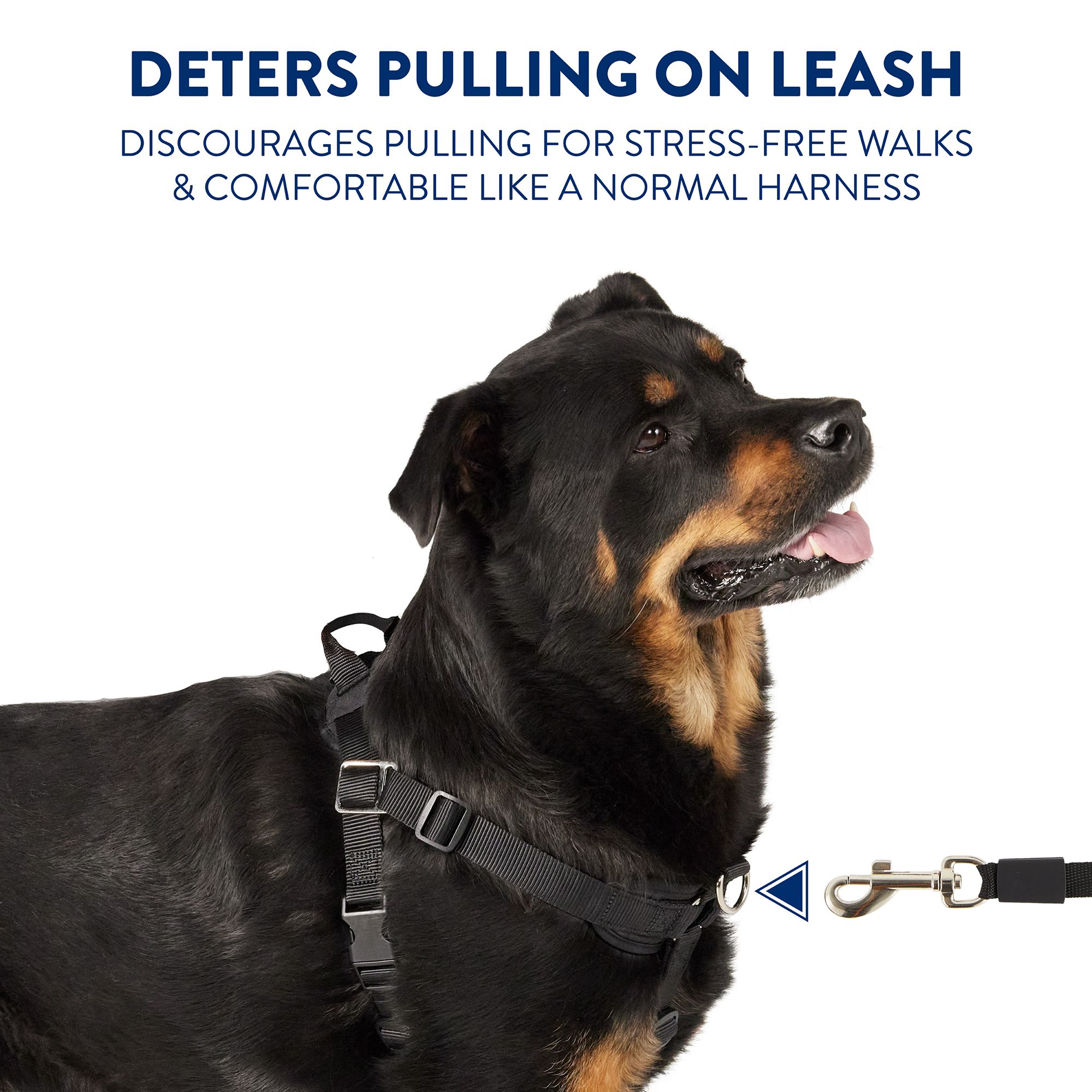 No pull leash petsmart best sale