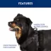 Top Paw® No-Pull Dog Harness image thumbnail 3