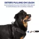 Product Arcadia Trail™ Rope Reflective Dog Collar