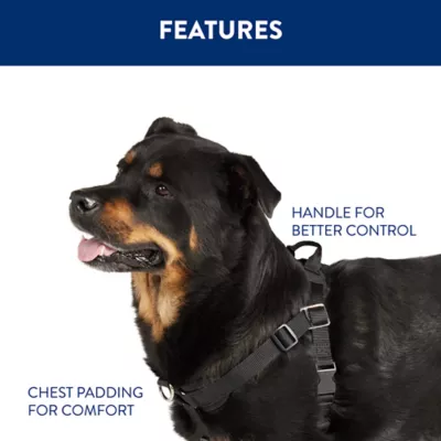 Product Arcadia Trail™ Rope Reflective Dog Collar