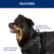 Product Arcadia Trail™ Rope Reflective Dog Collar