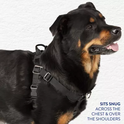 Product Arcadia Trail™ Rope Reflective Dog Collar