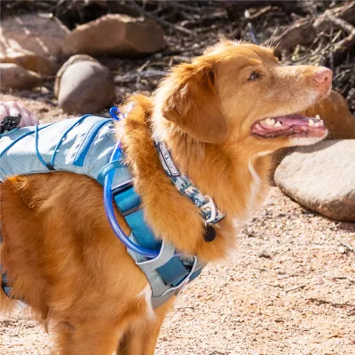 Product Arcadia Trail™ Rope Reflective Dog Collar