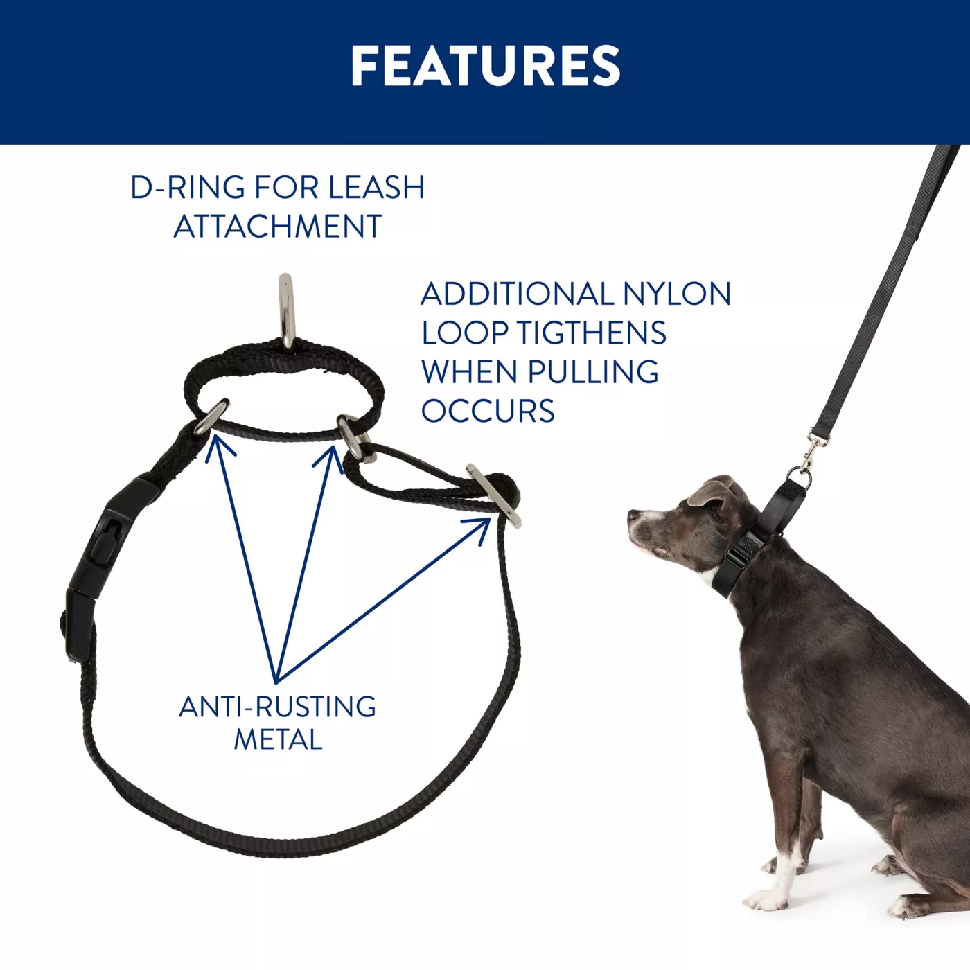 Martingale leash for dogs hotsell