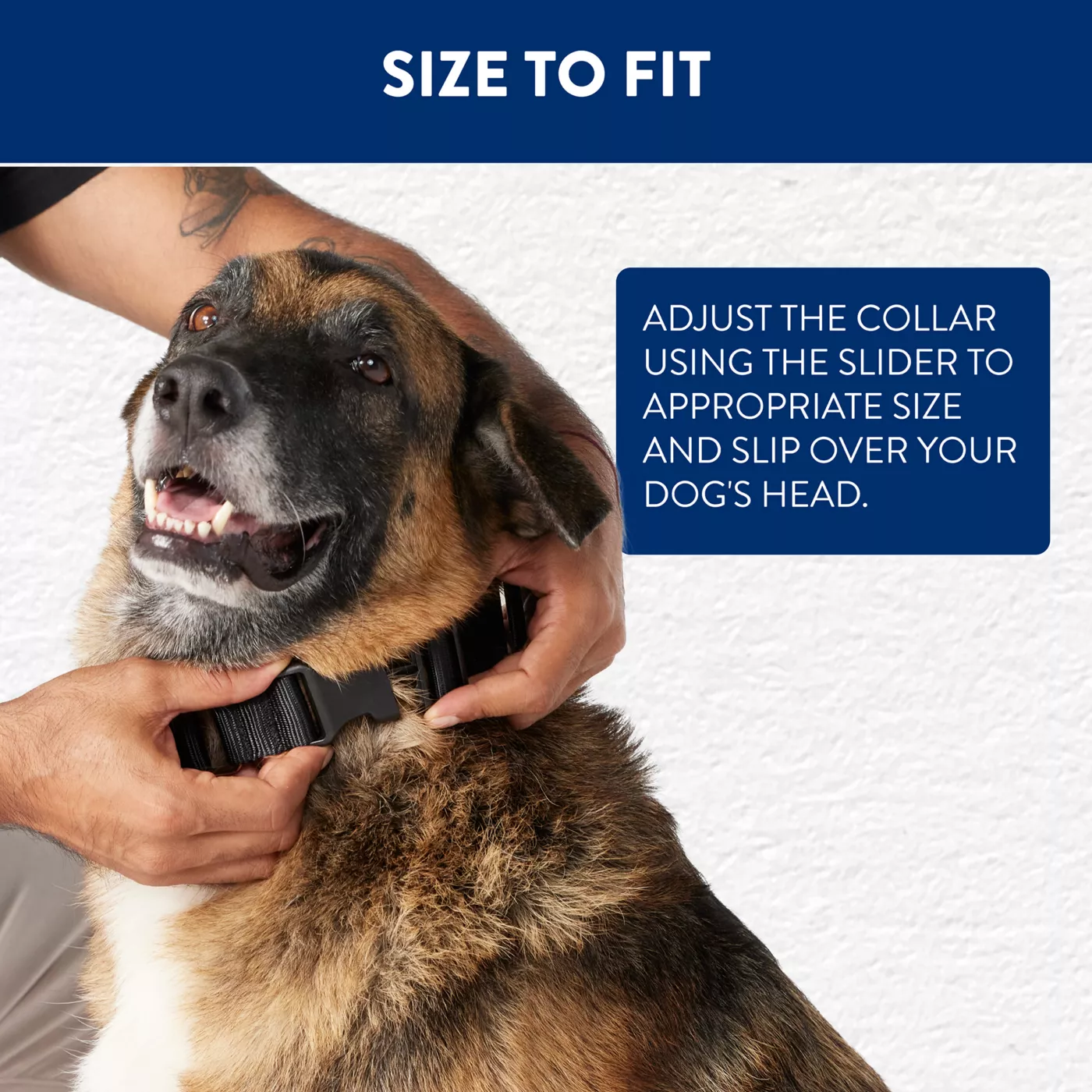 German prong collar petsmart best sale