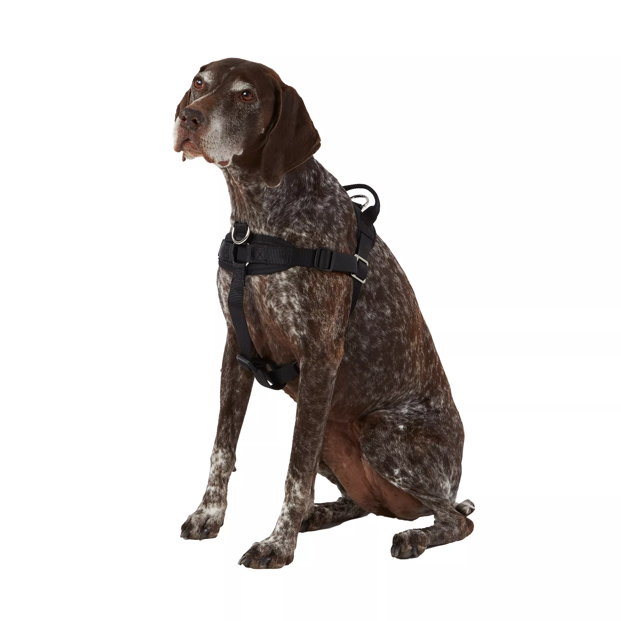 Top Paw® No-Pull Dog Harness