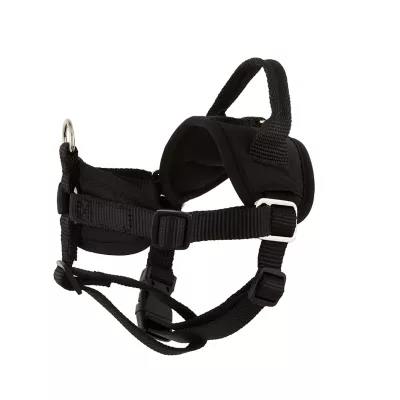 No jump dog harness petsmart best sale