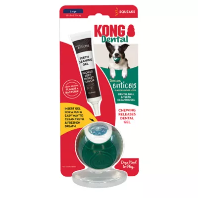 Product KONG® Dental Ball & Teeth Cleaning Gel Dog Toy