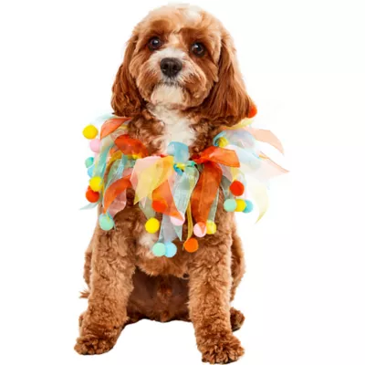 Product Rubie's Pet Shop Birthday Pom Party Dog Collar