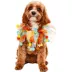 Rubie's Pet Shop Birthday Pom Party Dog Collar image thumbnail 1