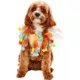 Product Rubie's Pet Shop Birthday Pom Party Dog Collar