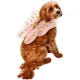 Product Rubie's Pet Shop Birthday Fairy Wings