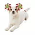 Rubie's Pet Shop Holiday Mickey Mouse Candy Cane Pet Accessory image thumbnail 1