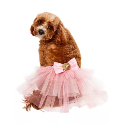 Product Rubie's Pet Shop Birthday Fairy Dog TuTu