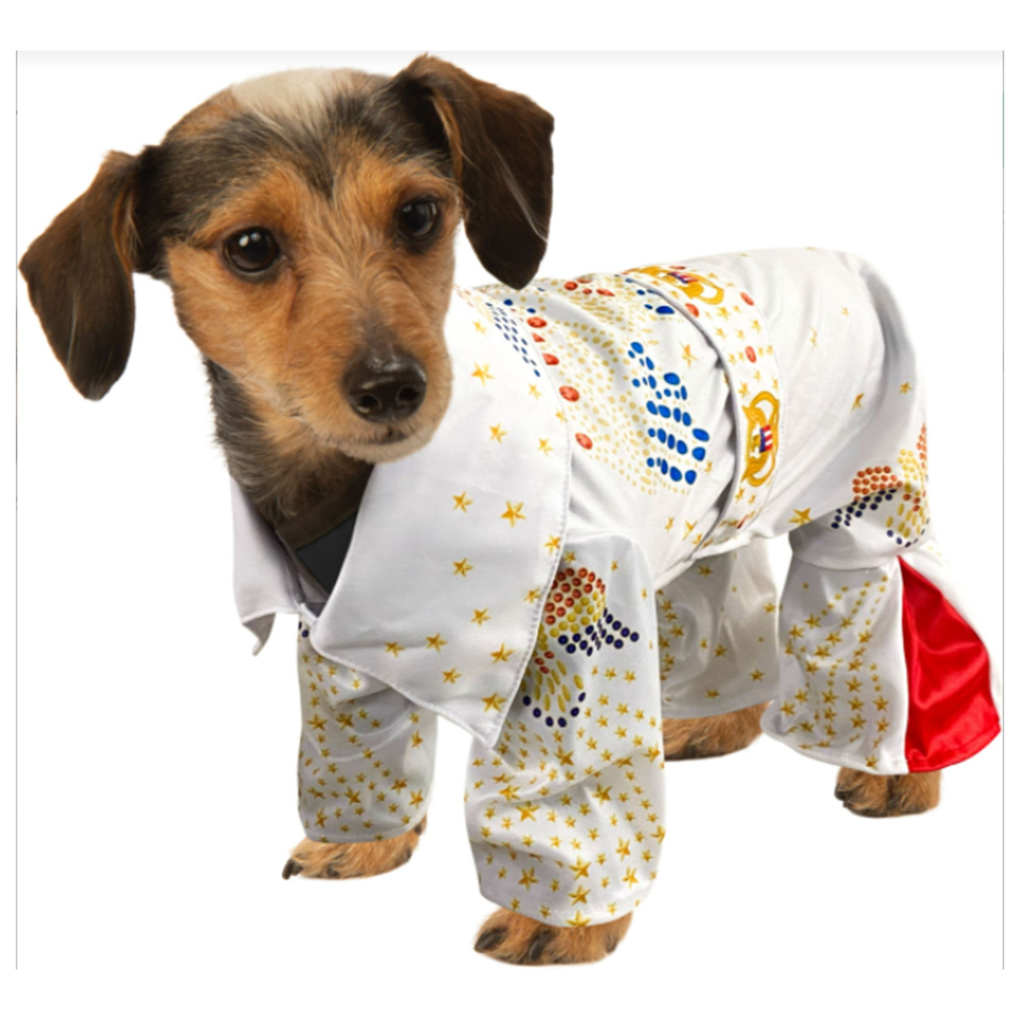 Rubie's Pet Shop Halloween Elvis Prestly Dog Cat Costume
