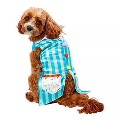 Rubie s Pet Shop Birthday Dog Vest