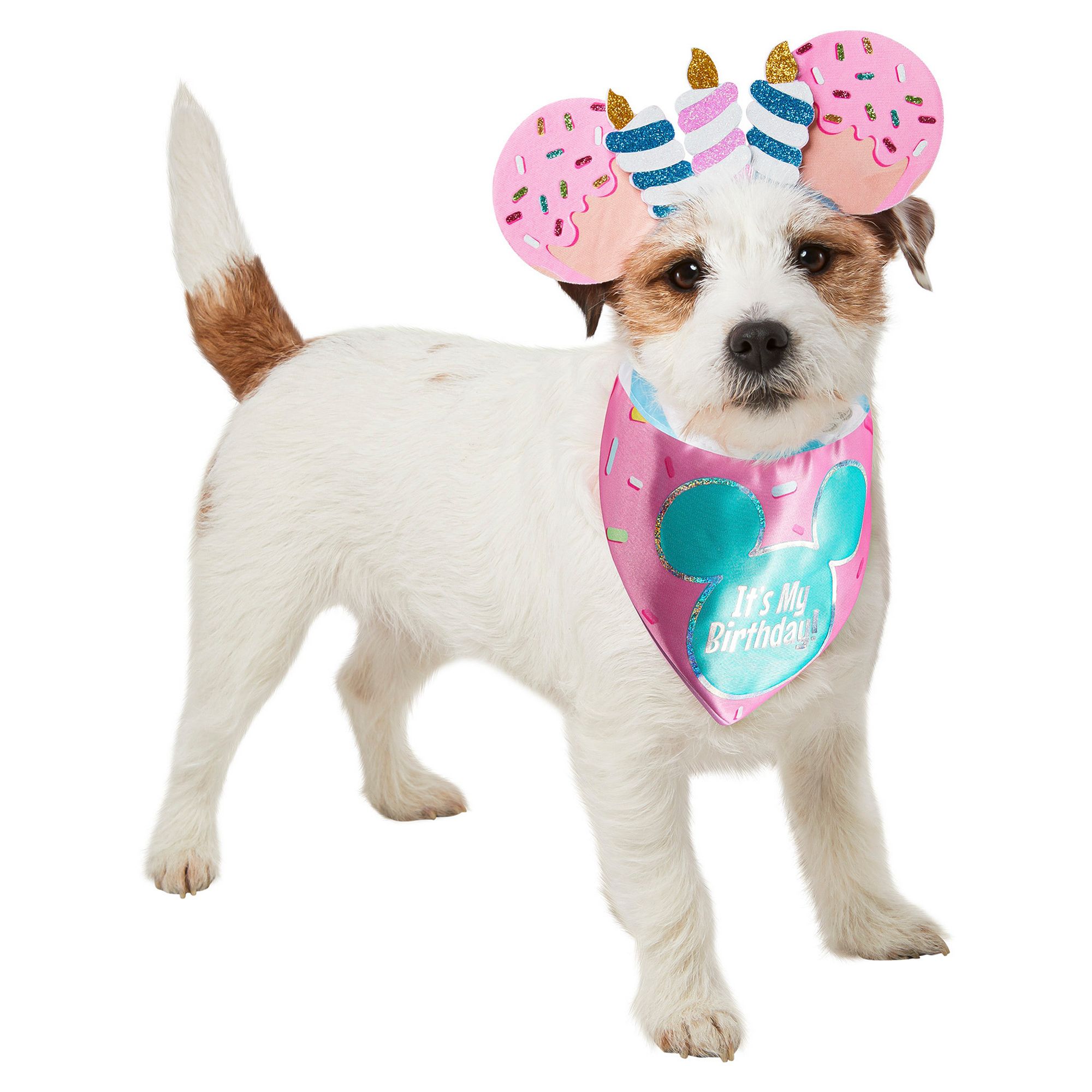 Rubie's Pet Shop Mickey Mouse Birthday Pet Accessory dog Costumes