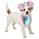 Product Rubie's Pet Shop Mickey Mouse Birthday Pet Accessory