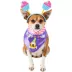 Rubie's Pet Shop Birthday Mickey Mouse Party Pup Pet Accessory image thumbnail 1