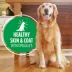 Iams Proactive Health Adult Dog Wet Food - Lamb & Rice Classic Ground image thumbnail 2
