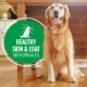 Product Iams Proactive Health Adult Dog Wet Food - Lamb & Rice Classic Ground