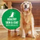 Product Iams Proactive Health Adult Wet Dog Food - Beef, Rice & Vegetables