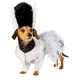 Product Rubie's Pet Shop Halloween Bride of Frankenstein Dog & Cat Costume