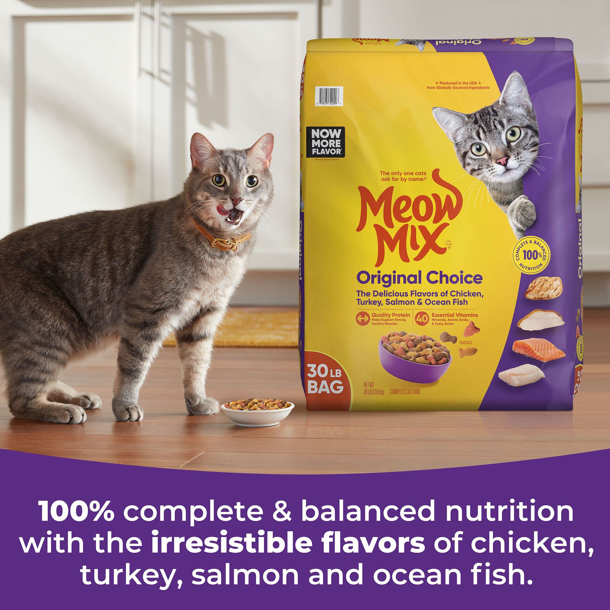 Meow Mix Original Choice Dry Cat Food All Ages, Chicken, Turkey