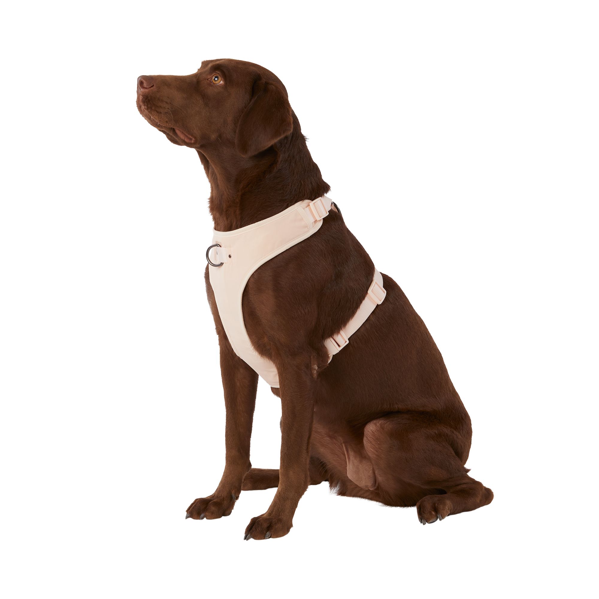 Top Paw® "Dog On The Go" Dog Harness dog Harnesses PetSmart