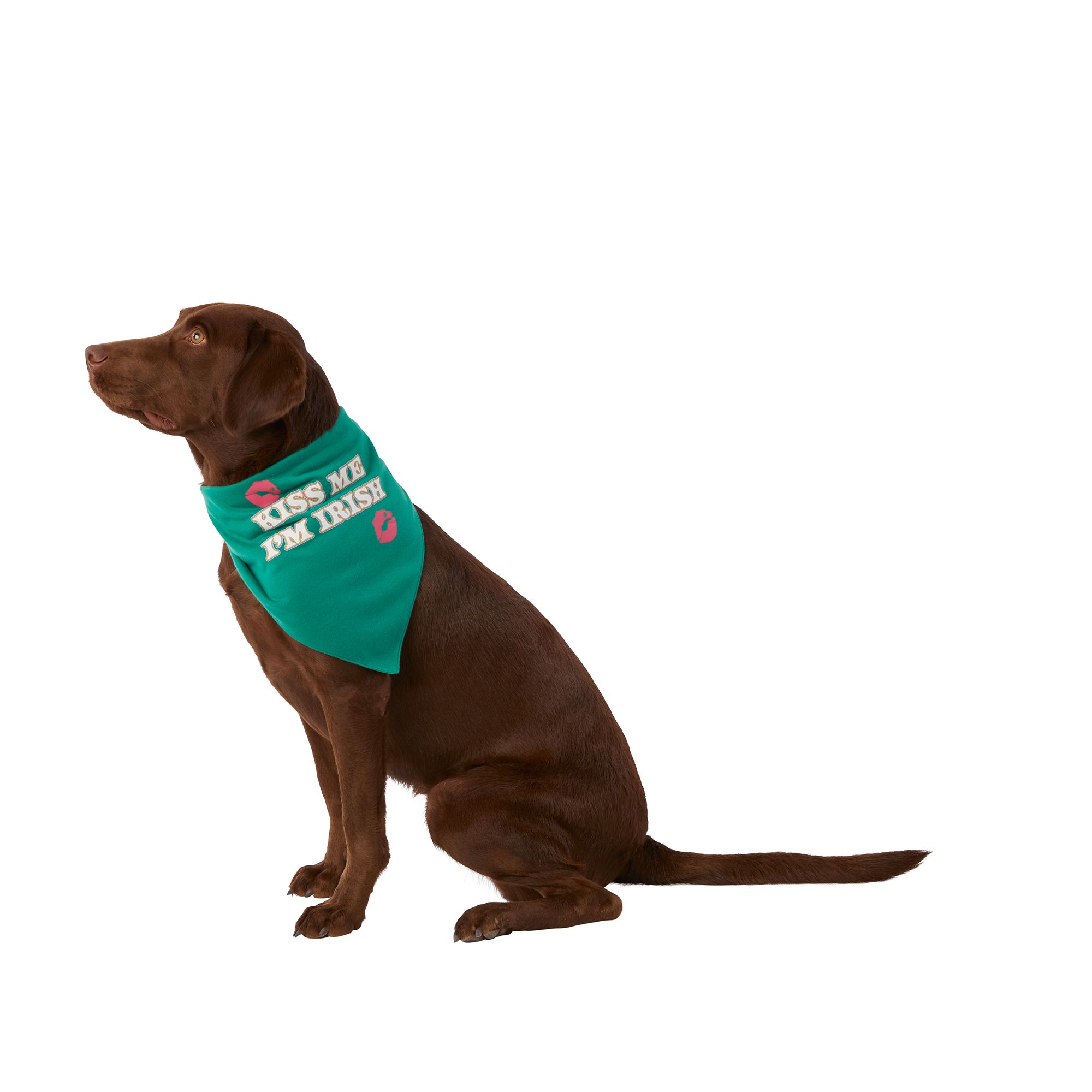 Petsmart on sale dog bandanas