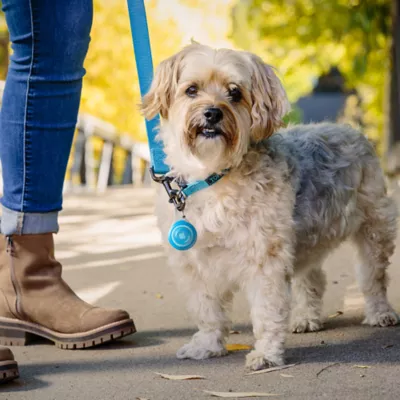 Product Nite Ize® WearAbout Dog Clippable Tracker Holder