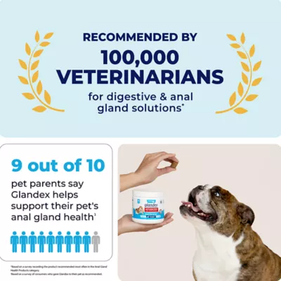 Product Vetnique Labs Glandex® Boot the Scoot® Advanved Vet Strength Anal Gland Soft Chew Dog Supplement
