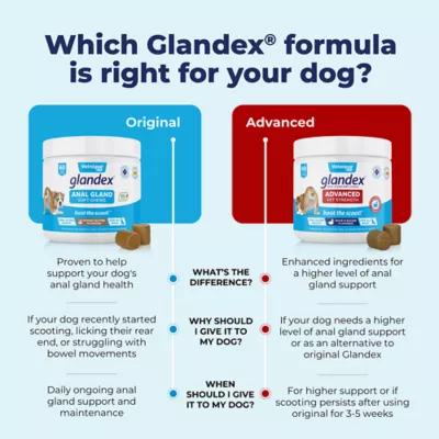Product Vetnique Labs Glandex® Boot the Scoot® Advanved Vet Strength Anal Gland Soft Chew Dog Supplement