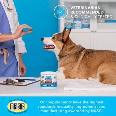 Product Vetnique Labs Glandex® Boot the Scoot® Advanved Vet Strength Anal Gland Soft Chew Dog Supplement