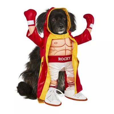 Product Rubie's Pet Shop Halloween Rocky Dog & Cat Costume