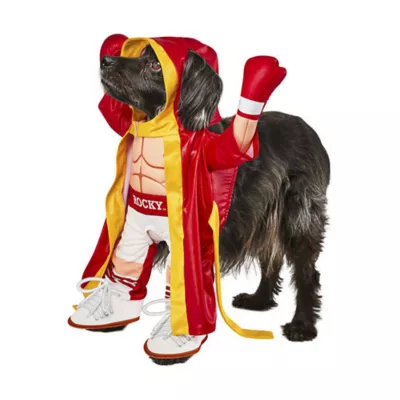 Product Rubie's Pet Shop Halloween Rocky Dog & Cat Costume