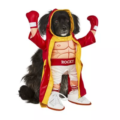 Product Rubie's Pet Shop Halloween Rocky Dog & Cat Costume