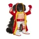 Product Rubie's Pet Shop Halloween Rocky Dog & Cat Costume