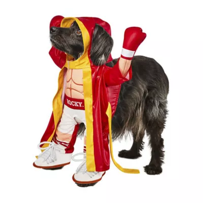 Product Rubie's Pet Shop Halloween Rocky Dog & Cat Costume