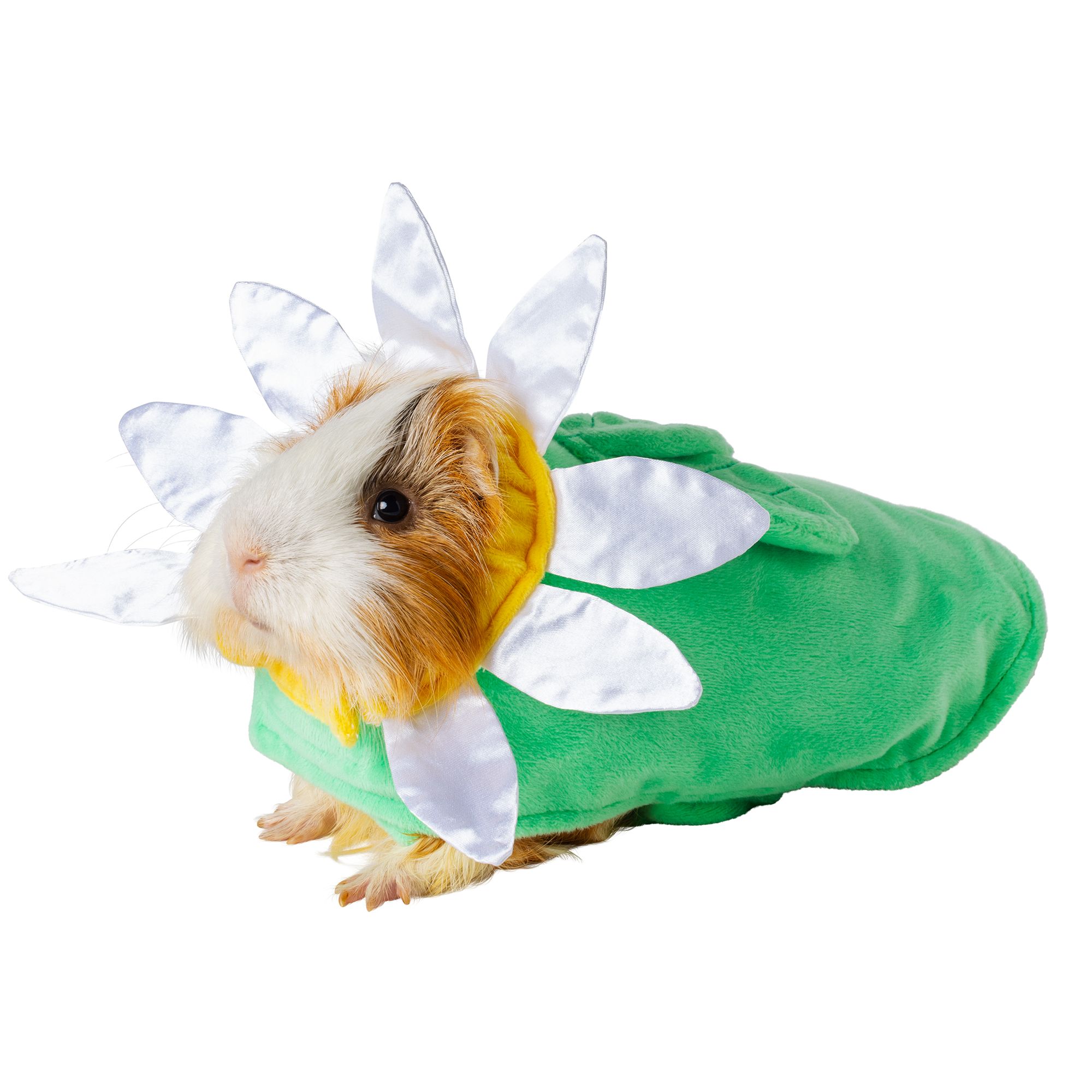 Full Cheeks™ Flower Small Pet Costume small pet Small Pet Costumes