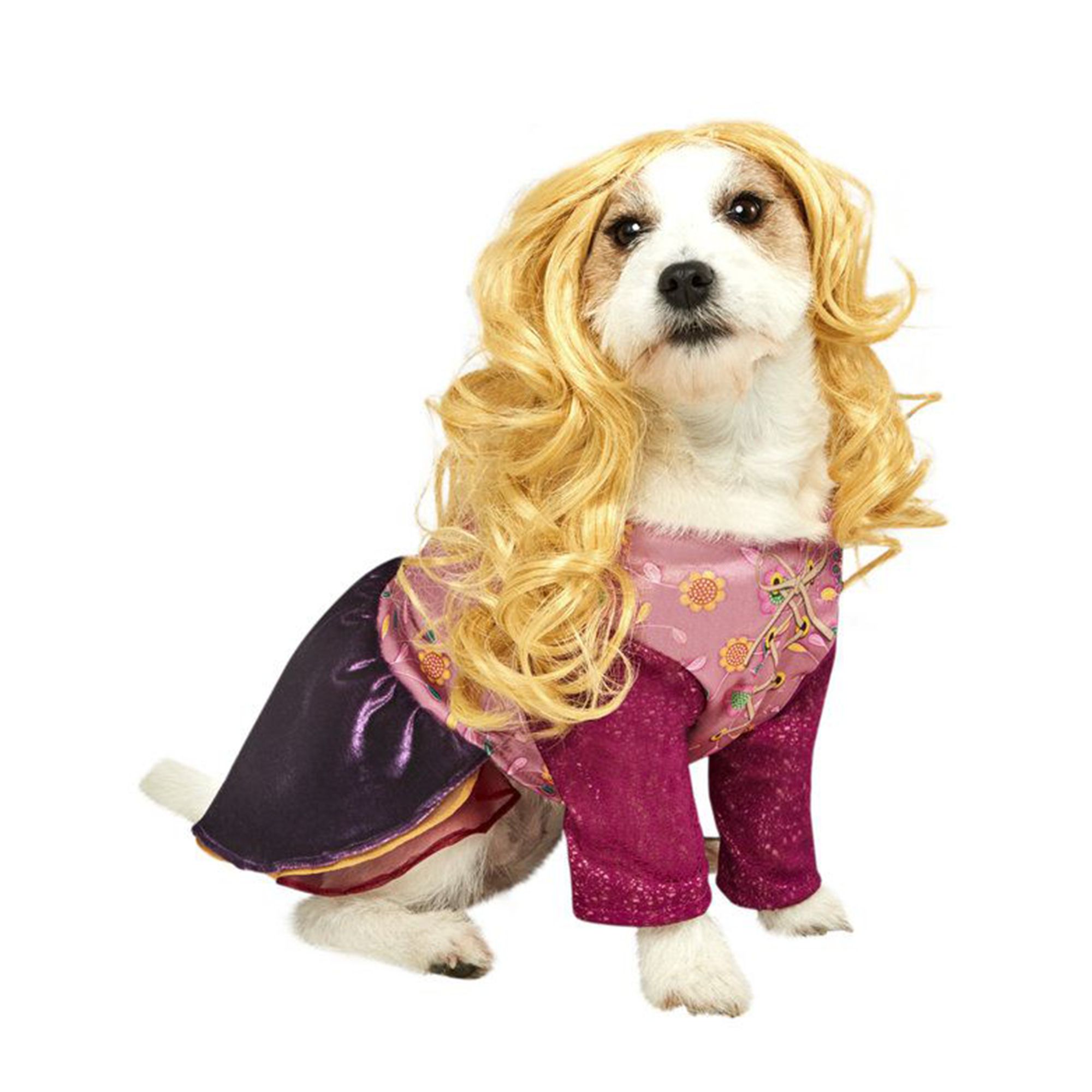 PetSmart Has New Hocus Pocus Toys and Halloween Costumes for Pets