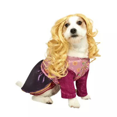 Rubie's Pet Shop Halloween Hocus Pocus Sarah Sanderson Dog & Cat Costume - Image 1