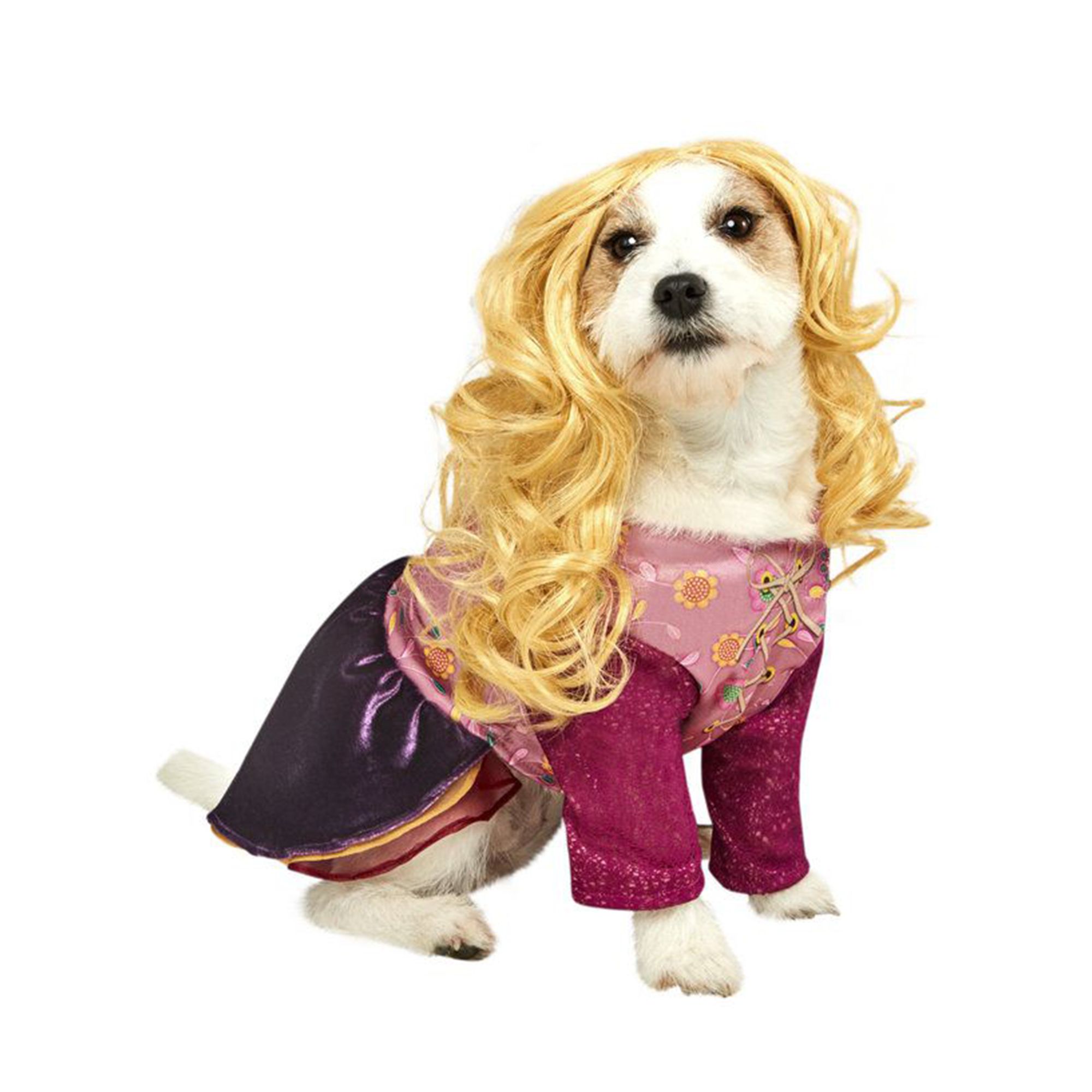 Winifred Sanderson Costume for Cat Dog. Hocus Pocus Sanderson 