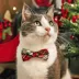 Made By Cleo® Birchwood Holiday Plaid Breakaway Cat Collar image thumbnail 3