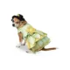 Product Rubie's Pet Shop Halloween The Princess And The Frog Dog & Cat Costume