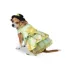Rubie's Pet Shop Halloween The Princess And The Frog Dog & Cat Costume image thumbnail 1